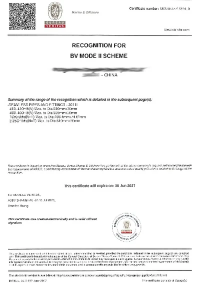 Признание Bureau Veritas — Одобрение завода по схеме BV Mode II